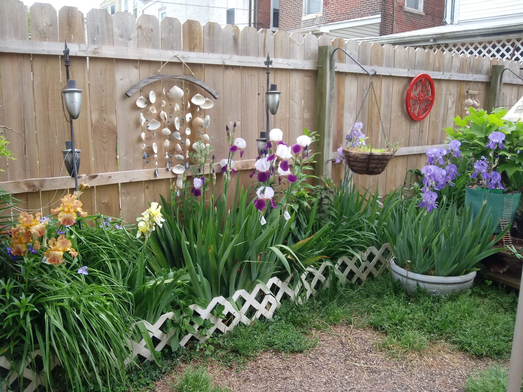 Light The Path Guest Writer | Invisible Woman by Laurie Penoyer-Phillips