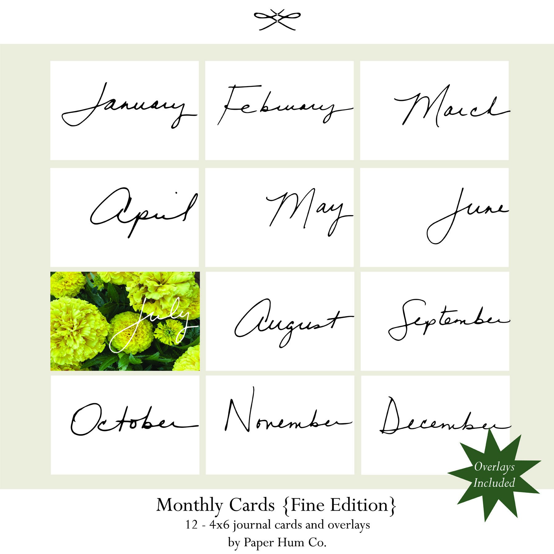 Paper Hum Co. - 4x6 Monthly Journal Cards (Fine Edition)