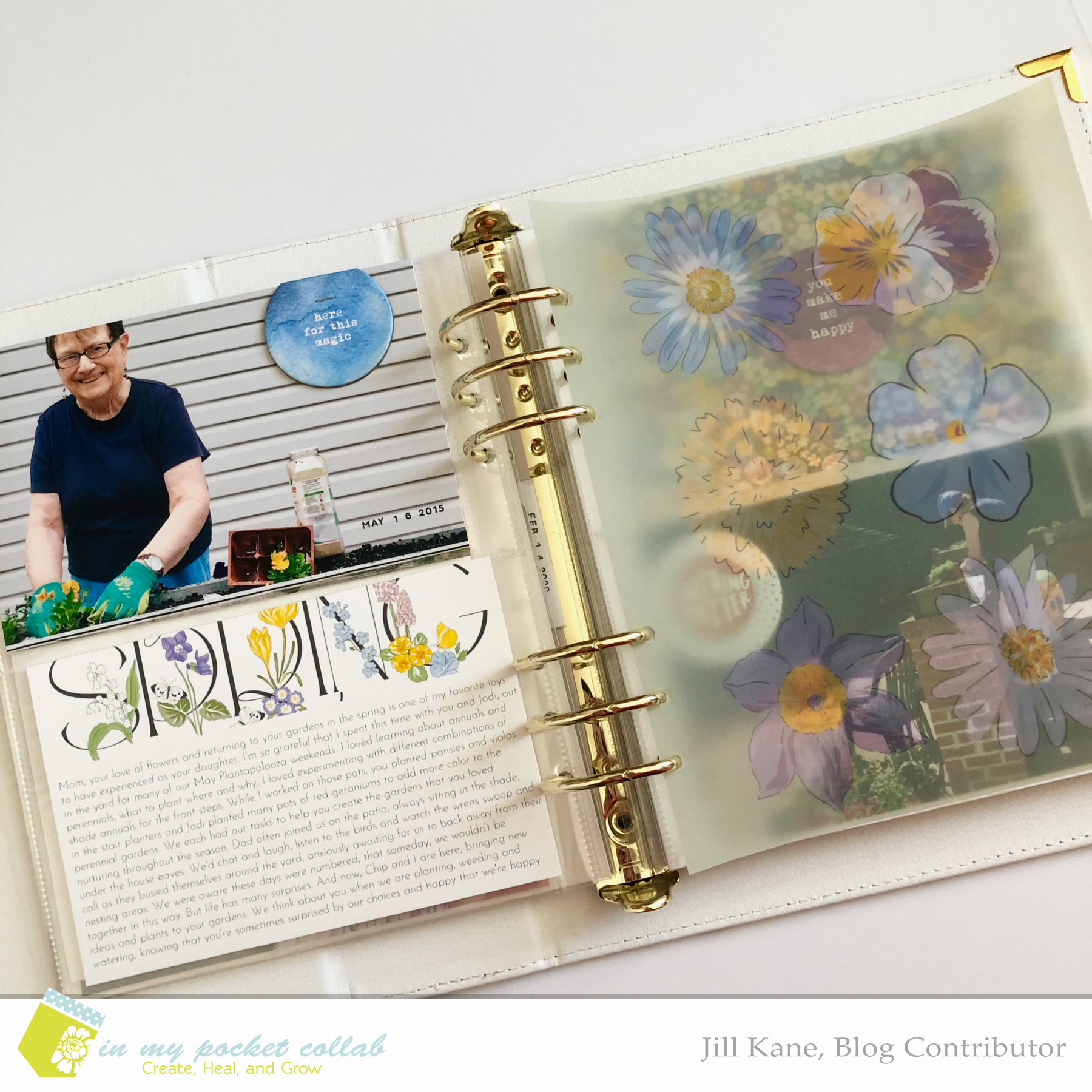 IMP Blog Team Jill Kane | Spring Gardens