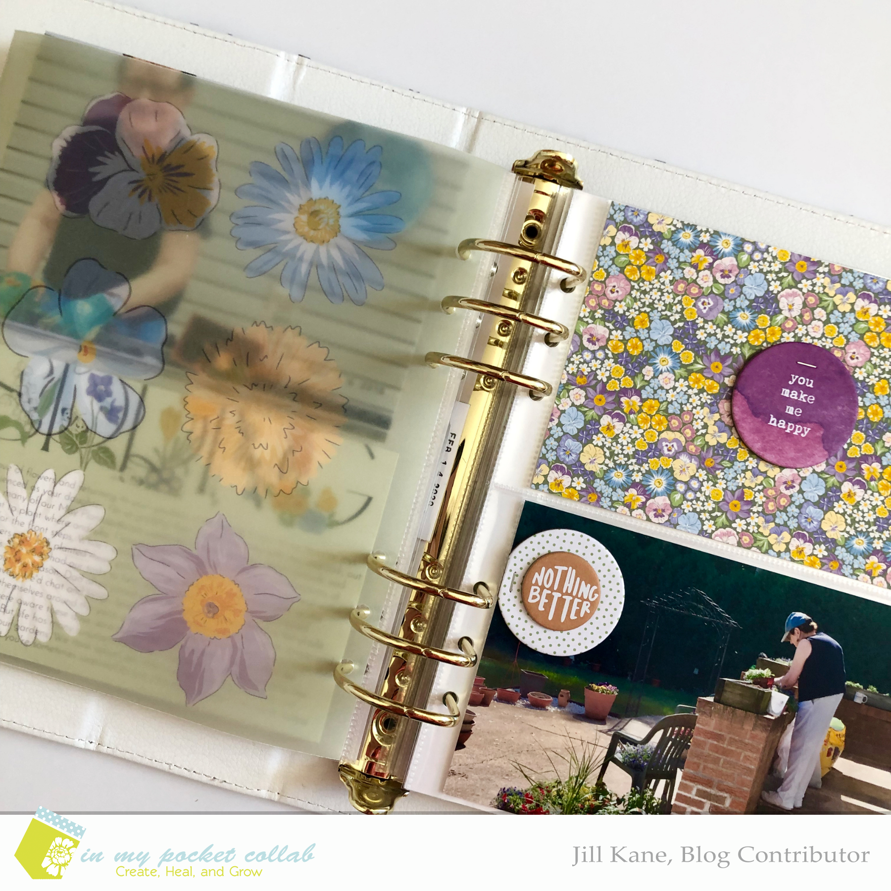 IMP Blog Team Jill Kane | Spring Gardens 2