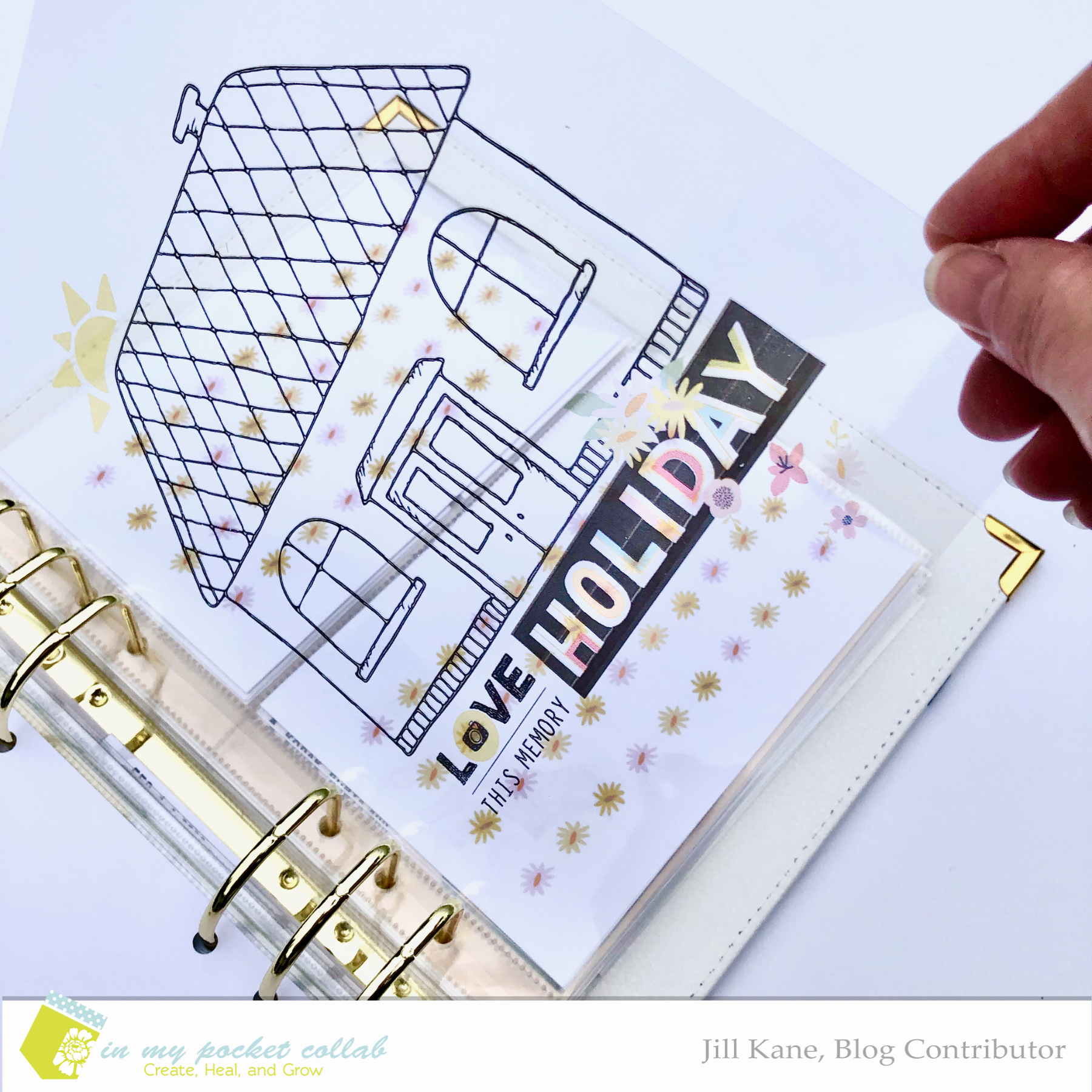 IMP Blog Team Jill Kane | Go Big and Go Home