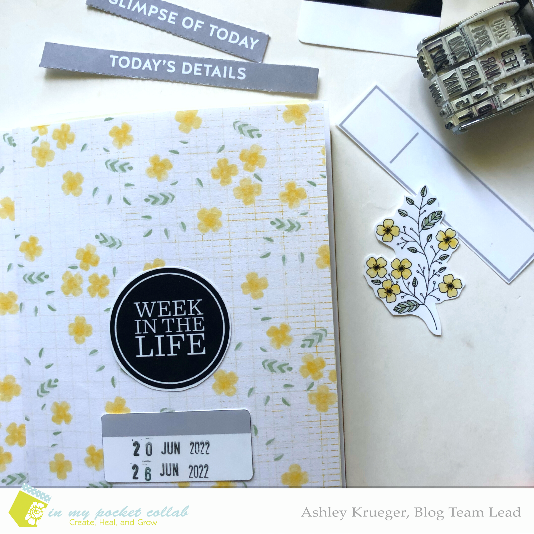 IMP Design Team Ashley Krueger | 2022 Week in the Life